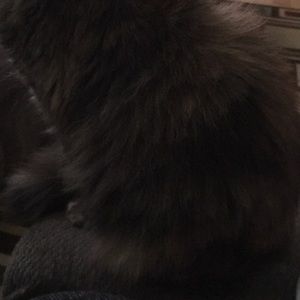 Meet your Posher, Lanoria